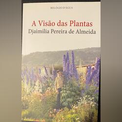 Vende-se livro  portes incluídos . Livros. Cascais. Romance Português    Novo / Como novo Capa mole