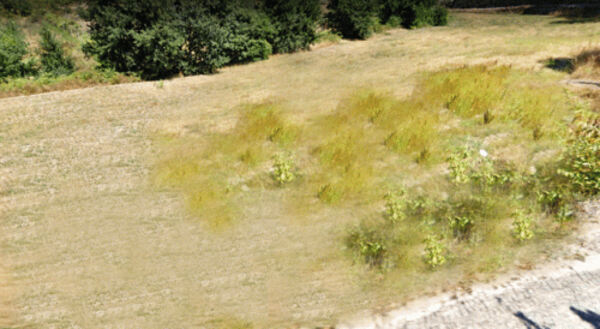 Venda Terreno Rústico . Terreno Rústico