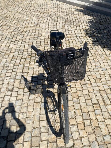 E-Bikes x2 – Aventura em Dose Dupla!. Bicicletas