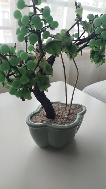 Bonsai em vidro. Vasos