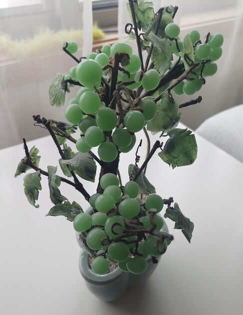 Bonsai em vidro. Vasos