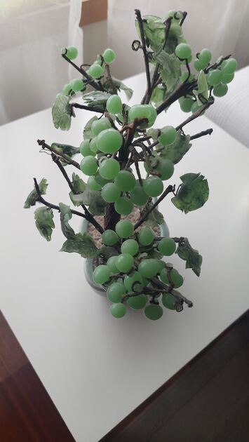 Bonsai em vidro. Vasos