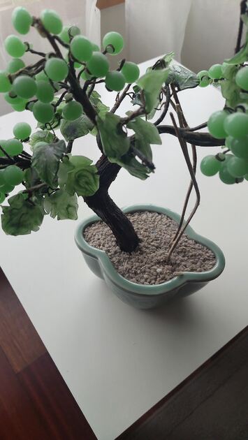Bonsai em vidro. Vasos