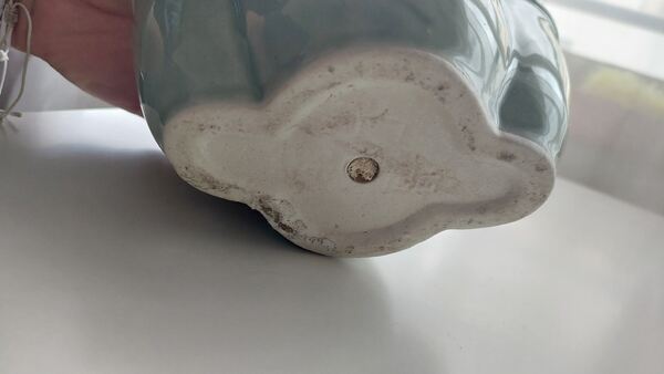 Bonsai em vidro. Vasos