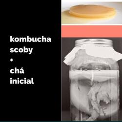 Kombucha scoby + starter Bio. Alimentos