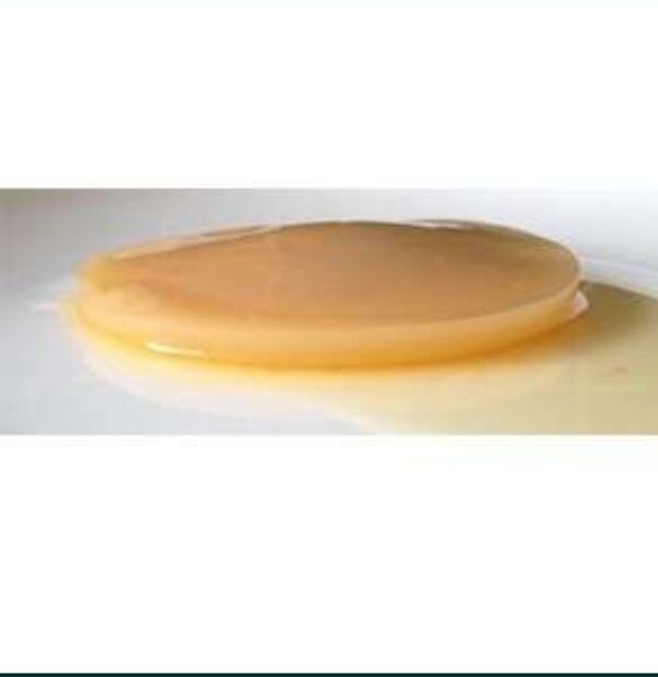 Kombucha scoby + starter Bio. Alimentos