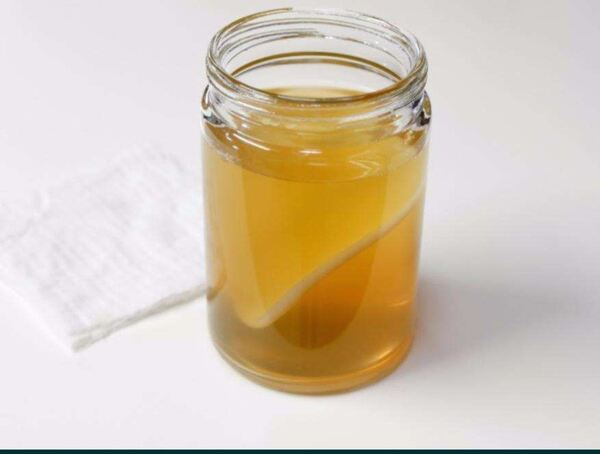 Kombucha scoby + starter Bio. Alimentos