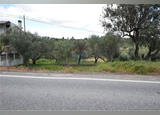 Lote de terreno para construção. Lote