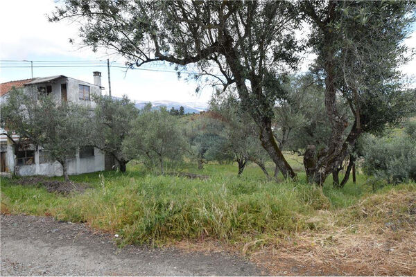 Lote de terreno para construção. Lote