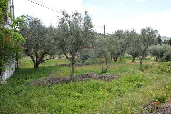 Lote de terreno para construção. Lote