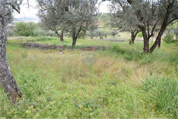 Lote de terreno para construção. Lote