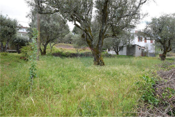 Lote de terreno para construção. Lote