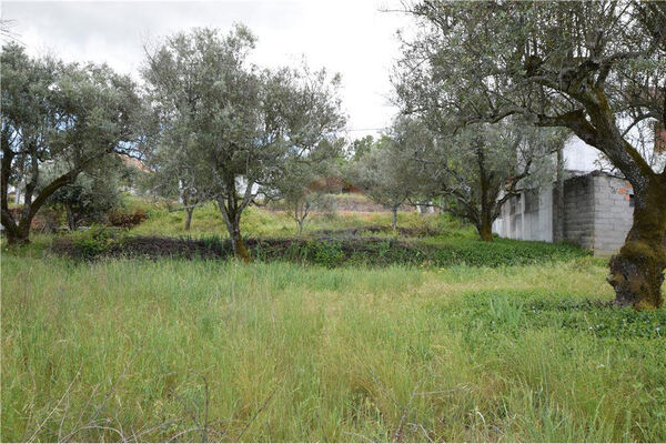 Lote de terreno para construção. Lote