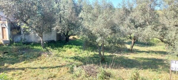 Lote de terreno para construção. Lote