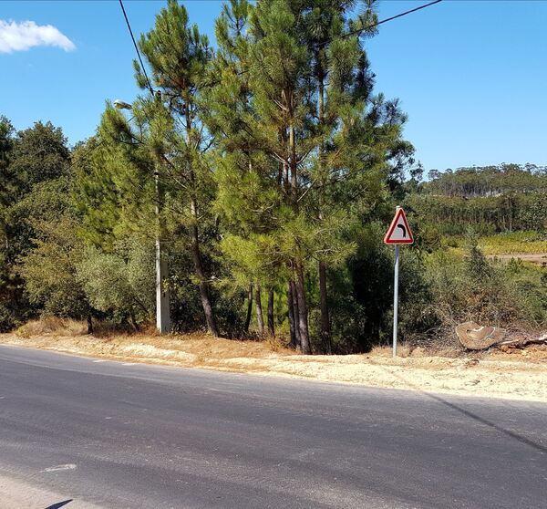Terreno para construção . Terreno Rústico