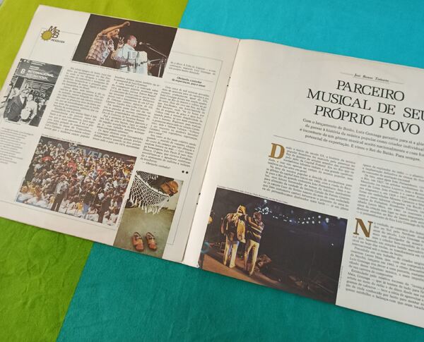 LP Luiz Gonzaga. Vinil, CDs