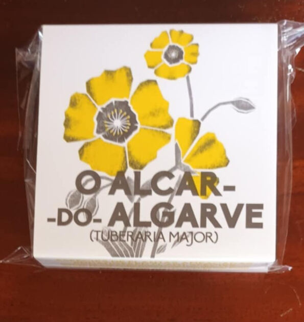 Moeda Alcar do Algarve Proof. Moedas
