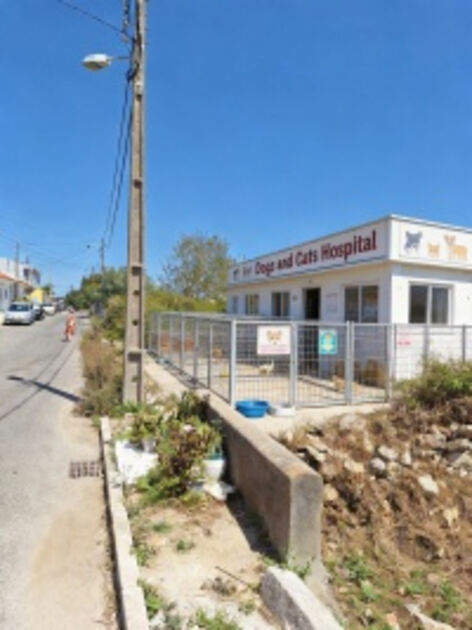 Terreno com Ruína e Projeto: Vista Serra de Sintra. Outros Veículos