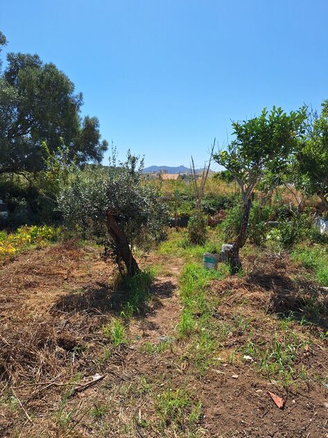 Terreno com Ruína e Projeto: Vista Serra de Sintra. Outros Veículos
