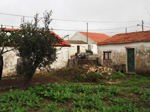 Terreno com Ruína e Projeto: Vista Serra de Sintra. Outros Veículos