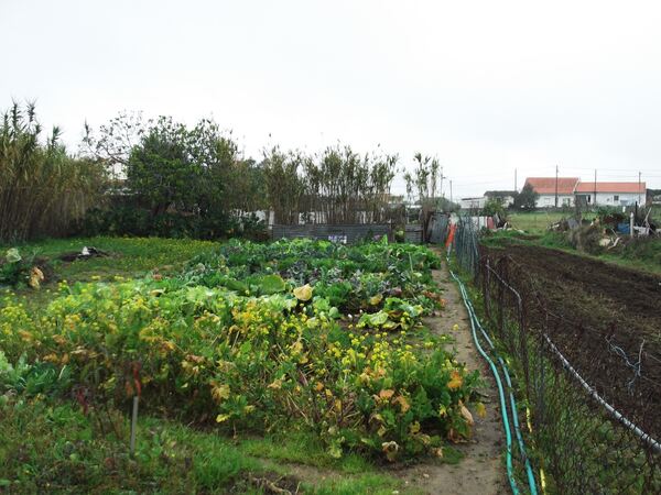 Terreno com Ruína e Projeto: Vista Serra de Sintra. Outros Veículos