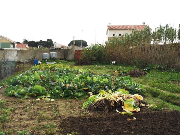 Terreno com Ruína e Projeto: Vista Serra de Sintra. Outros Veículos