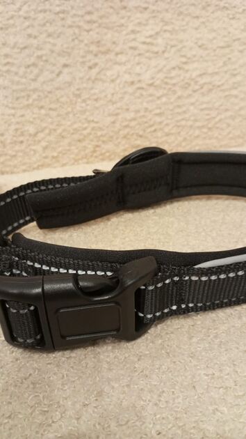 Coleira Preta c/local para localizador - Nova. Camas para animais de estimação