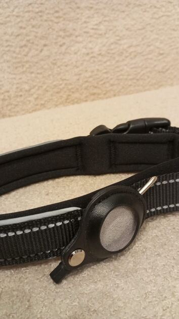 Coleira Preta c/local para localizador - Nova. Camas para animais de estimação