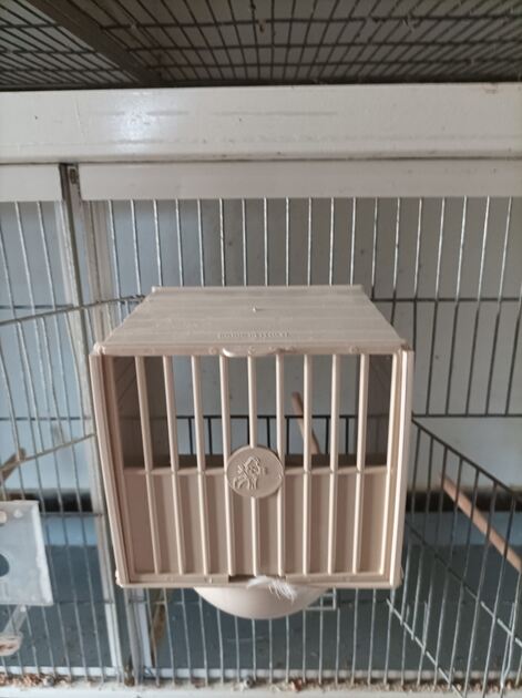 Viveiros e acessórios . Acessórios para animais. Amarante. Aves Muito bom