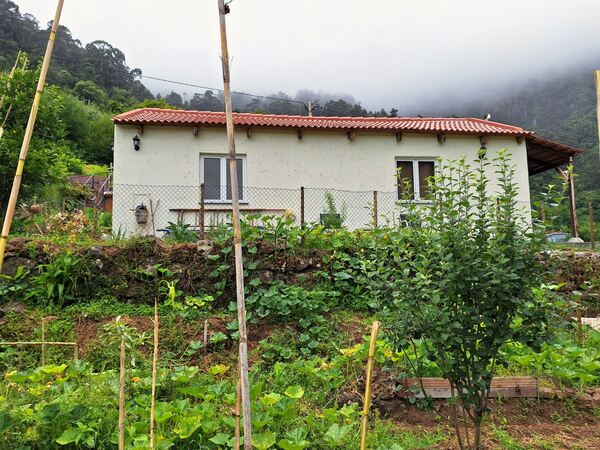 Vendo Casa . Casa e apartamentos para vender