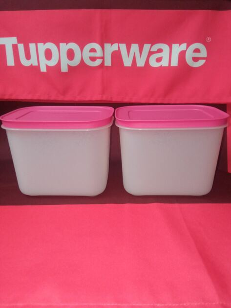 Conjunto de congelação 1,1L Tupperware . Recipientes de plástico