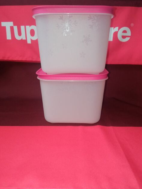 Conjunto de congelação 1,1L Tupperware . Recipientes de plástico