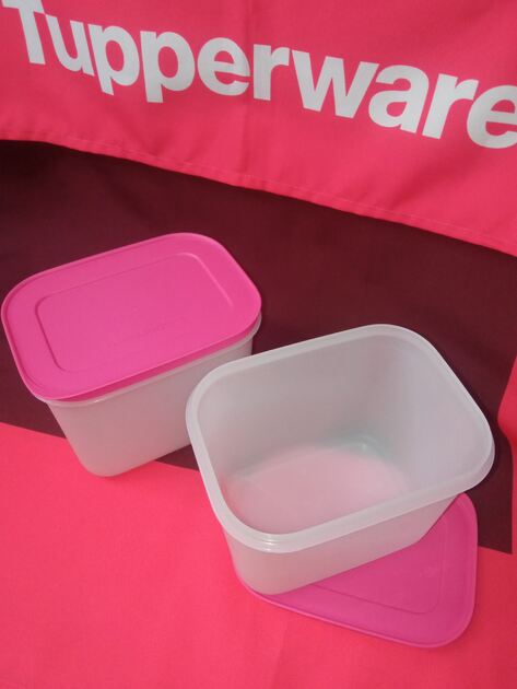 Conjunto de congelação 1,1L Tupperware . Recipientes de plástico