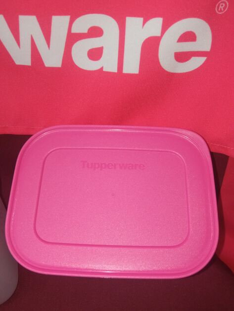 Conjunto de congelação 1,1L Tupperware . Recipientes de plástico