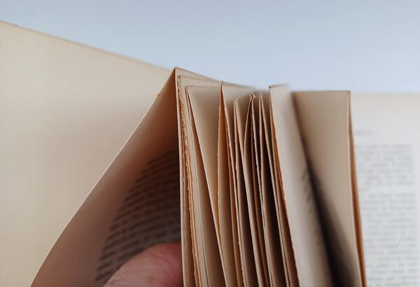Exilados Régios no Estoril . Livros
