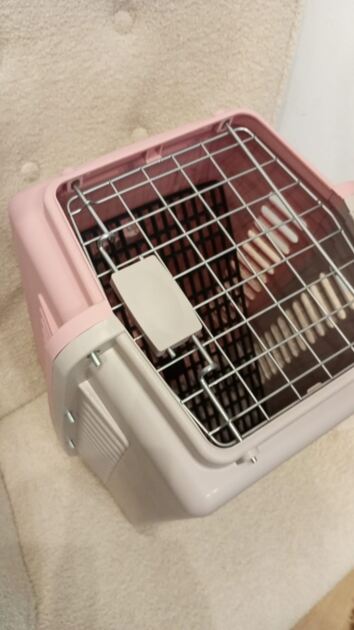 Box transporte de animais Rosa. Transportadoras para animais