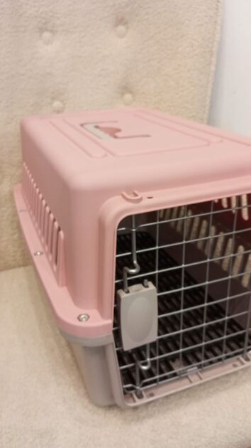 Box transporte de animais Rosa. Transportadoras para animais