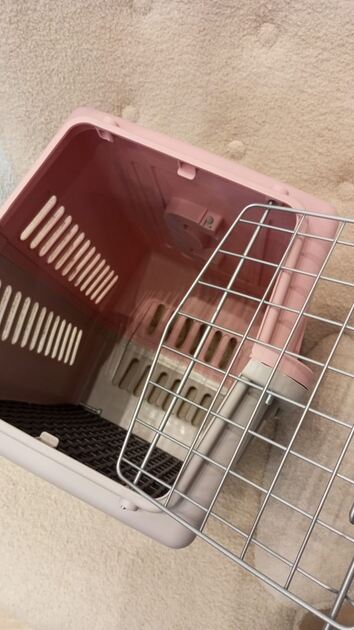 Box transporte de animais Rosa. Transportadoras para animais