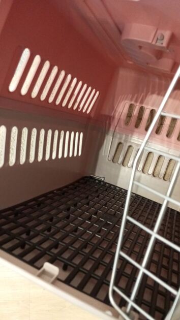 Box transporte de animais Rosa. Transportadoras para animais