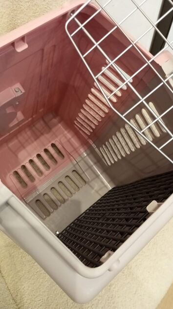 Box transporte de animais Rosa. Transportadoras para animais