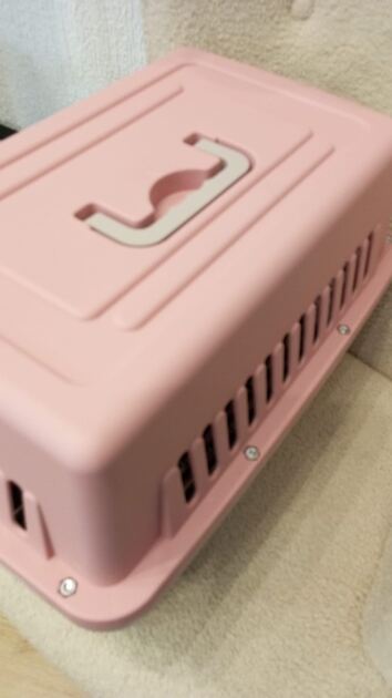 Box transporte de animais Rosa. Transportadoras para animais