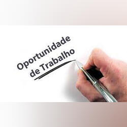 Consultora de Marca / Part-time. Vendas, Retalho e Marketing. Porto Cidade
