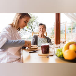 Curso de Formação Nutrição do Idoso. Aulas e Explicações