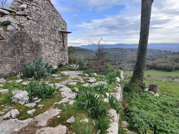 Terreno c/ Ruína à venda Serra Janeanes – Condeixa. Quintas