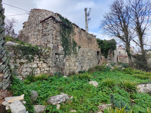 Terreno c/ Ruína à venda Serra Janeanes – Condeixa. Quintas
