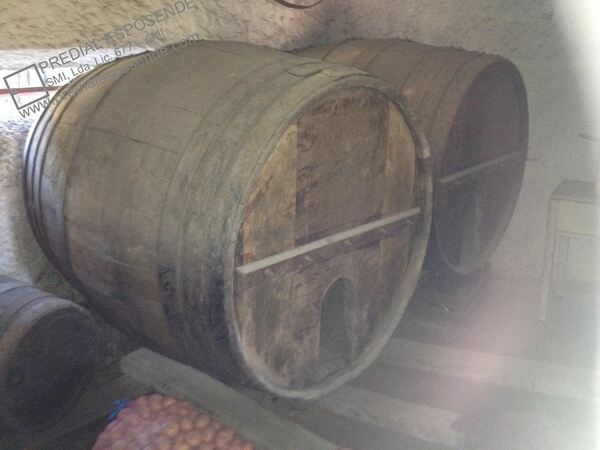 Quinta com casa antiga em Palmeira Faro / Esposend. Casa e apartamentos para vender