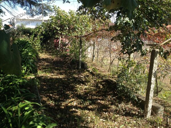 Quinta com casa antiga em Palmeira Faro / Esposend. Casa e apartamentos para vender