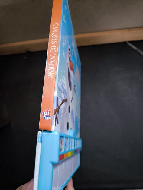 Livro / piano Frozen canções do inverno. Livros