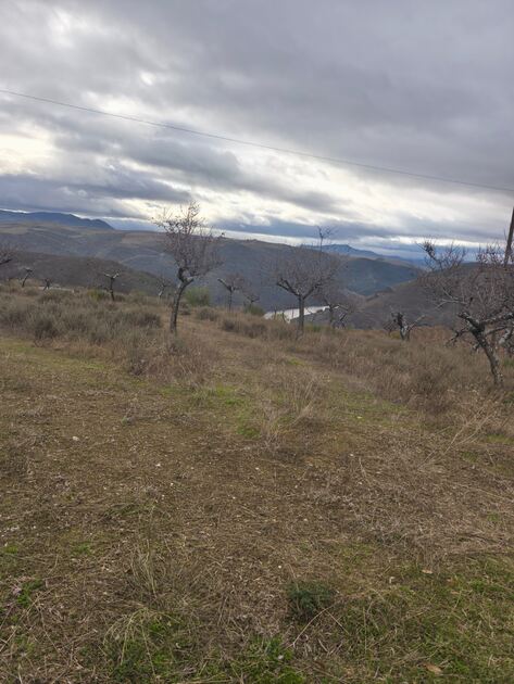 Terreno rústico em sequeiros . Terreno Rústico