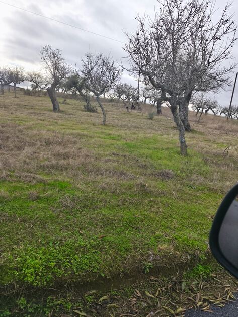 Terreno rústico em sequeiros . Terreno Rústico